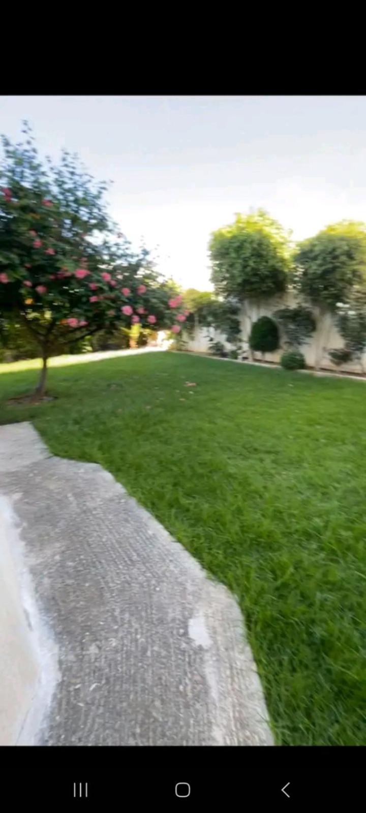 Chambres Maya القصر الصغير المظهر الخارجي الصورة